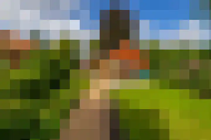 Oudeweg 69 Westerbroek thumbnail 36