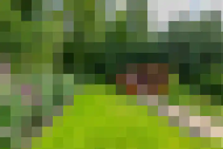 Oudeweg 69 Westerbroek thumbnail 4