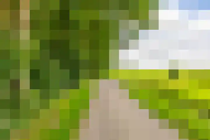 Oudeweg 69 Westerbroek thumbnail 40