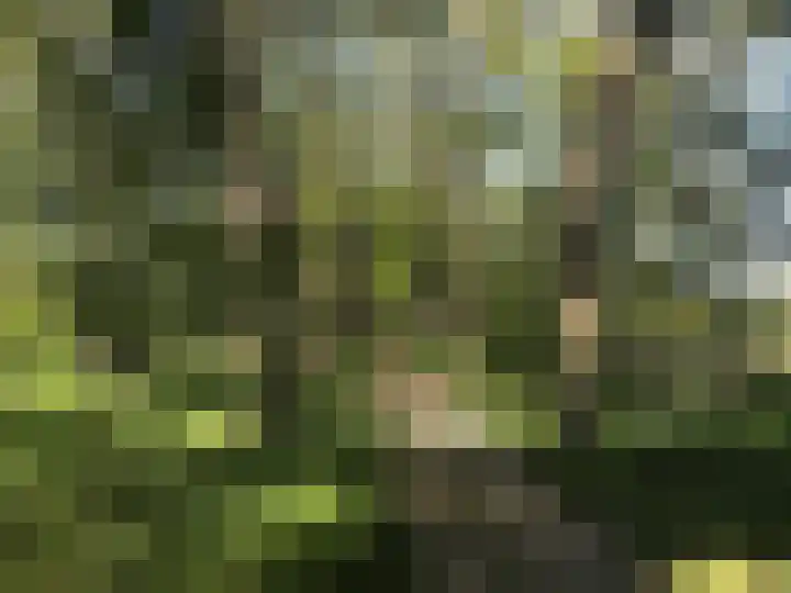 Oudeweg 69 Westerbroek thumbnail 41