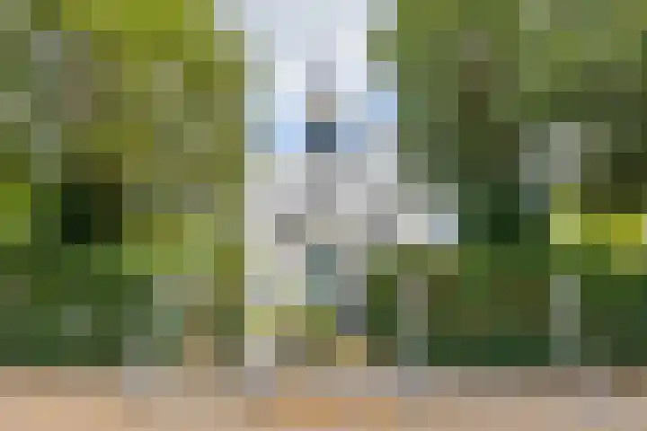 Oudeweg 69 Westerbroek thumbnail 43