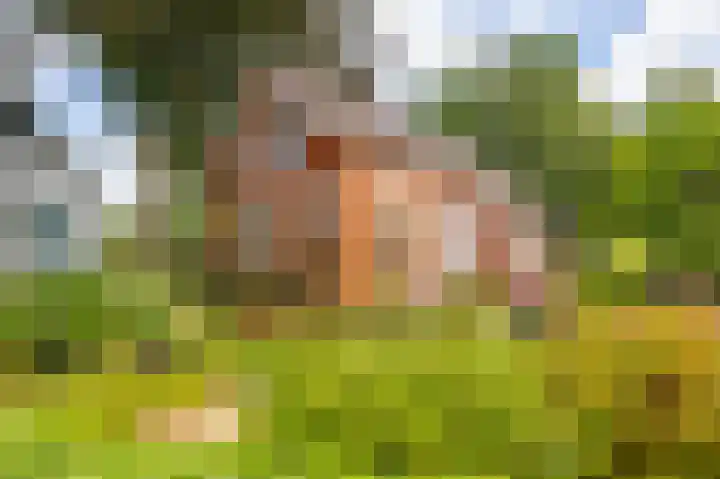 Oudeweg 69 Westerbroek thumbnail 44