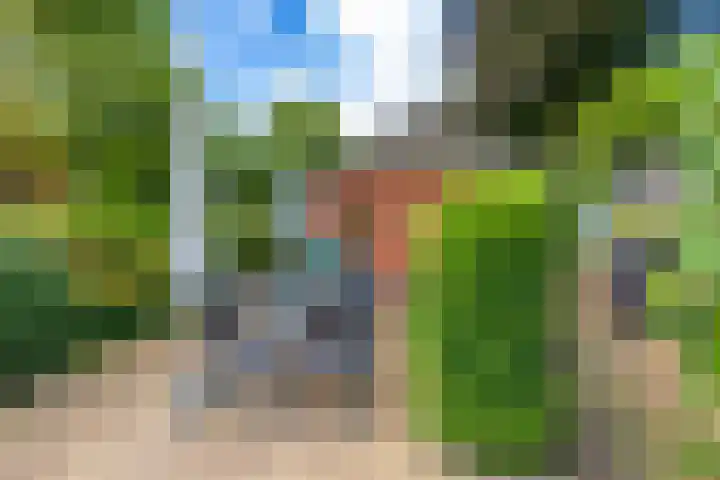 Oudeweg 69 Westerbroek thumbnail 5