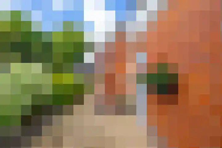 Oudeweg 69 Westerbroek thumbnail 7