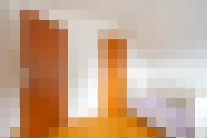 Oudeweg 7 Linne thumbnail 18
