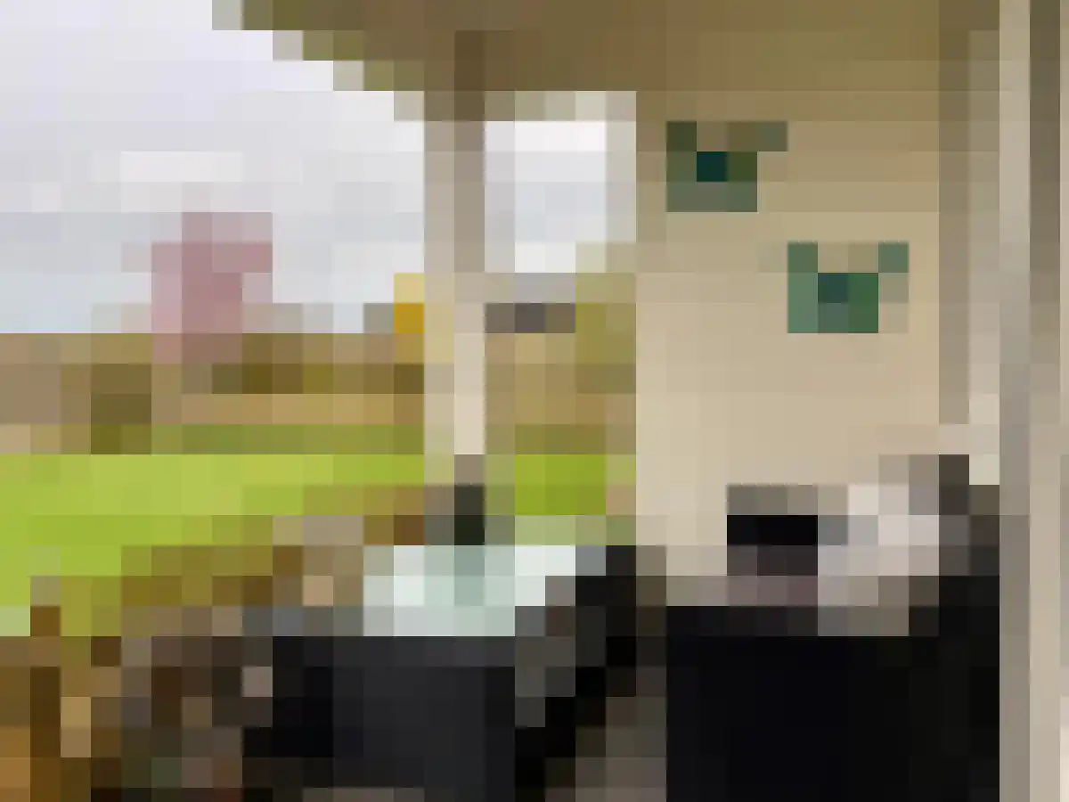 Oudeweg 78 Axel thumbnail 6