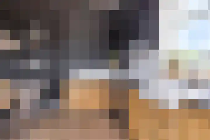 Oudeweg 8 Nuis thumbnail 16