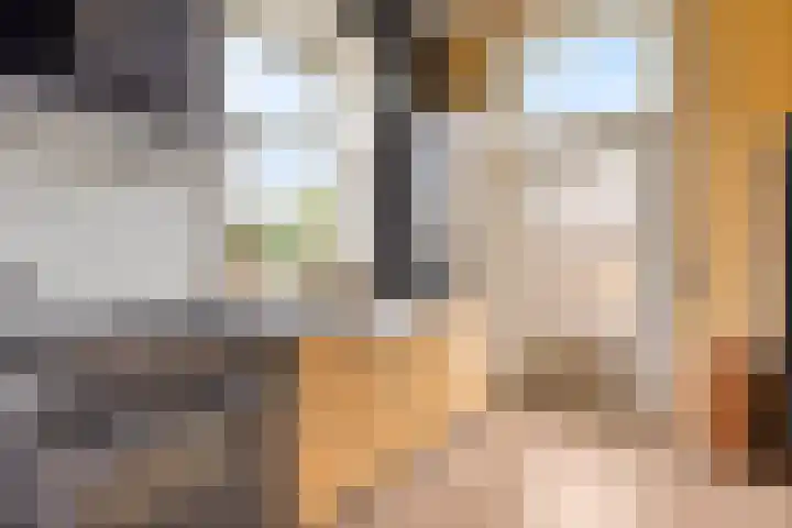 Oudeweg 8 Nuis thumbnail 17
