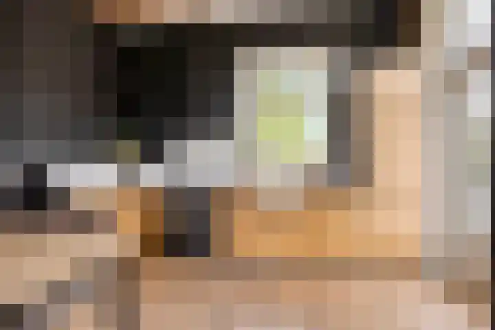 Oudeweg 8 Nuis thumbnail 18