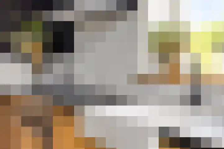 Oudeweg 8 Nuis thumbnail 19