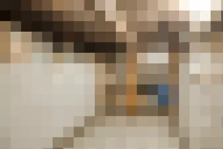 Oudeweg 8 Nuis thumbnail 28