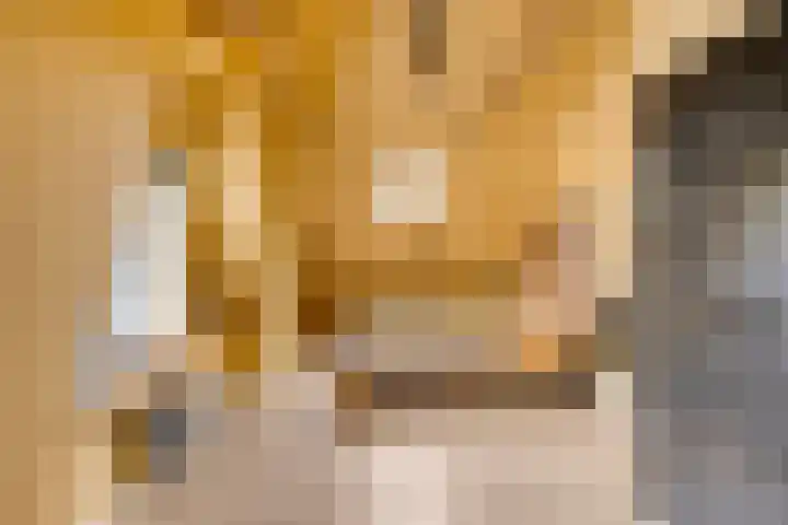 Oudeweg 8 Nuis thumbnail 35