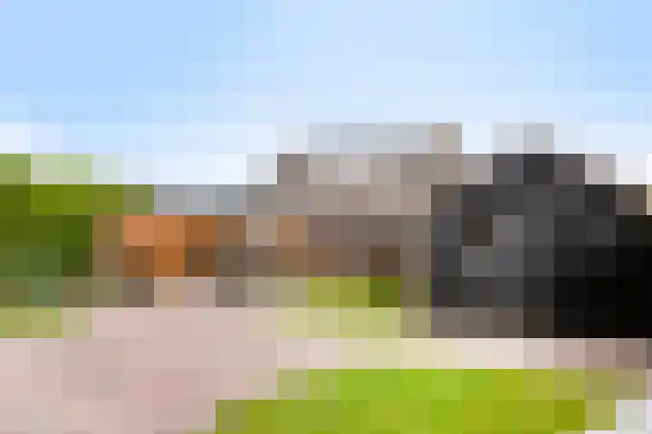 Oudeweg 8 Nuis thumbnail 46