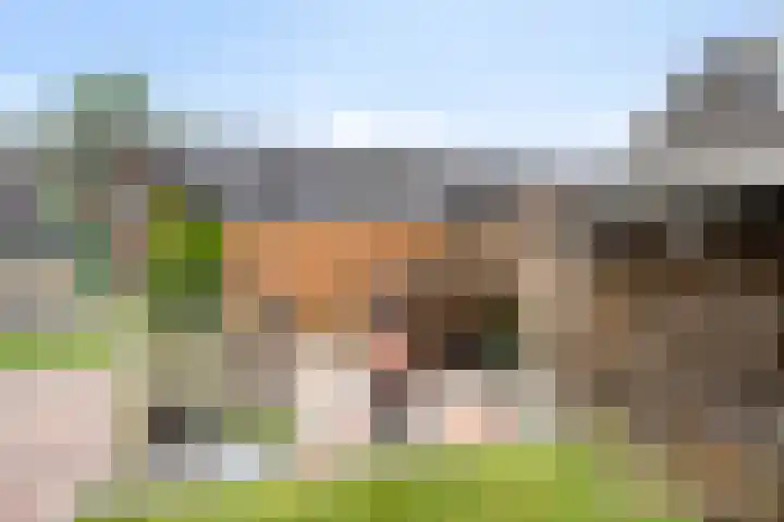Oudeweg 8 Nuis thumbnail 49