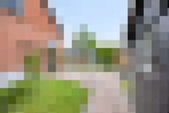 Oudeweg 8 Nuis thumbnail 50
