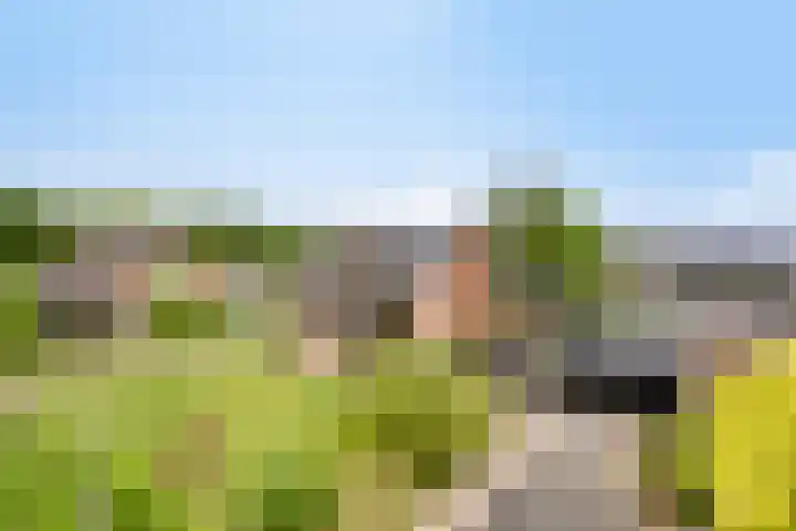 Oudeweg 8 Nuis thumbnail 58