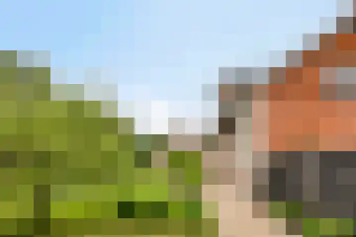 Oudeweg 8 Nuis thumbnail 61