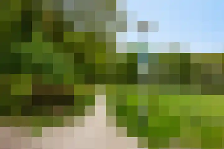 Oudeweg 8 Nuis thumbnail 62