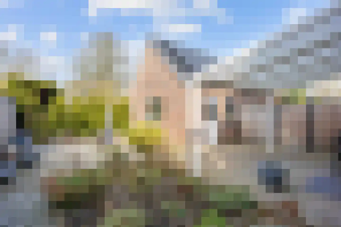 Oudeweg 82 A Siddeburen thumbnail 56