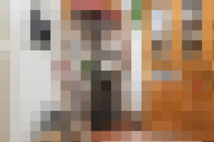 Oudeweg Oost 1 Heenvliet thumbnail 22