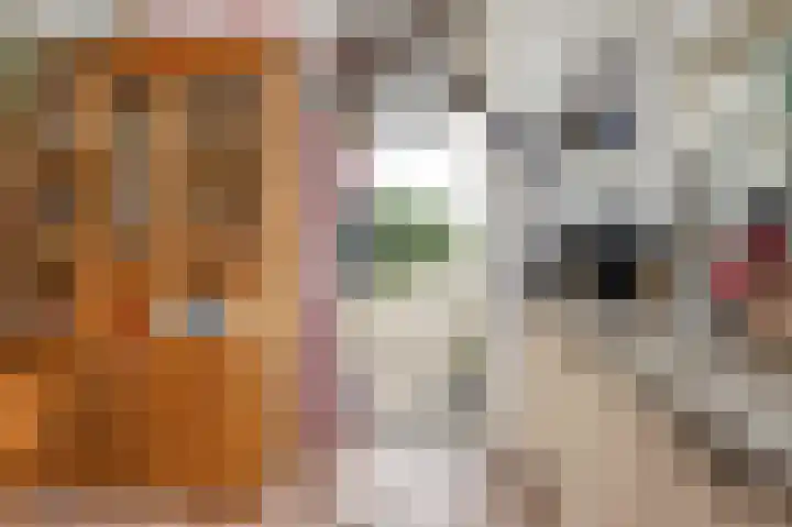 Oudeweg Oost 1 Heenvliet thumbnail 23