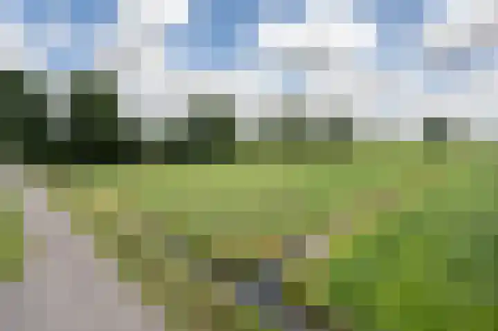 Oudeweg Oost 1 Heenvliet thumbnail 4