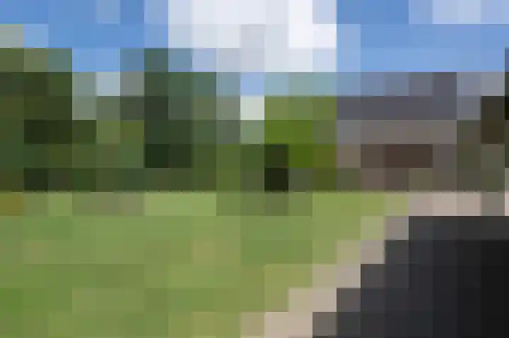 Oudeweg Oost 1 Heenvliet thumbnail 43