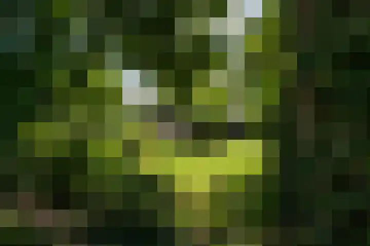 Oudeweg Oost 1 Heenvliet thumbnail 44