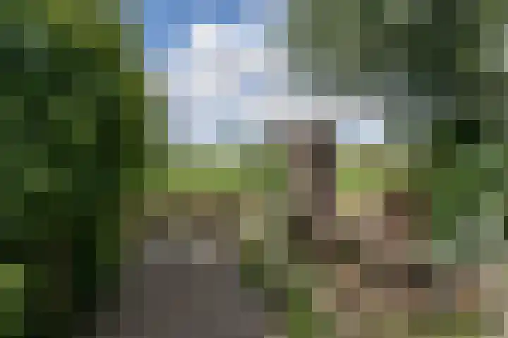 Oudeweg Oost 1 Heenvliet thumbnail 45