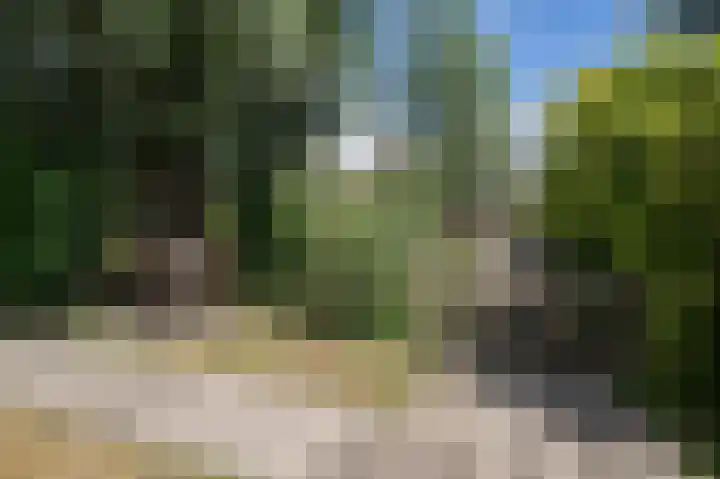 Oudeweg Oost 1 Heenvliet thumbnail 46