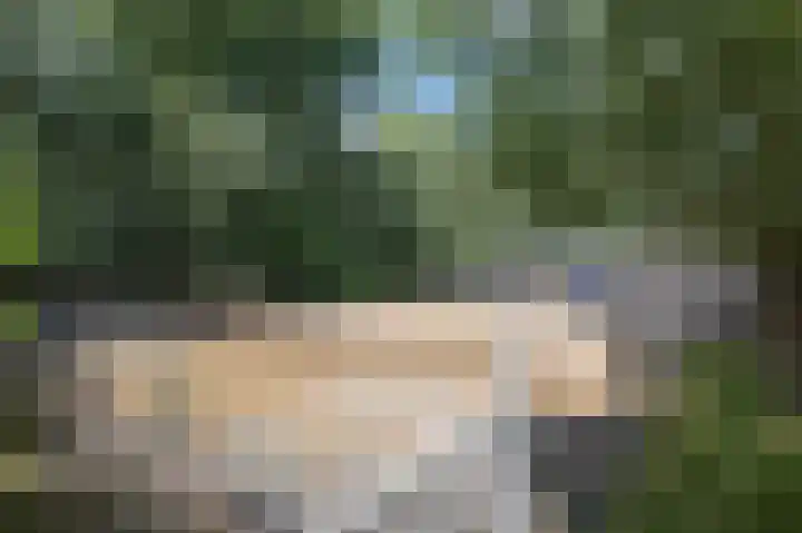 Oudeweg Oost 1 Heenvliet thumbnail 48