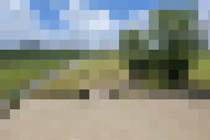 Oudeweg Oost 1 Heenvliet thumbnail 51
