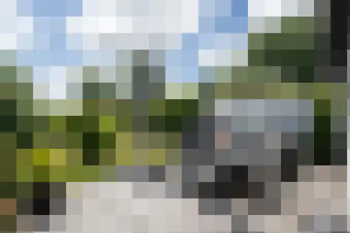 Oudeweg Oost 1 Heenvliet thumbnail 56