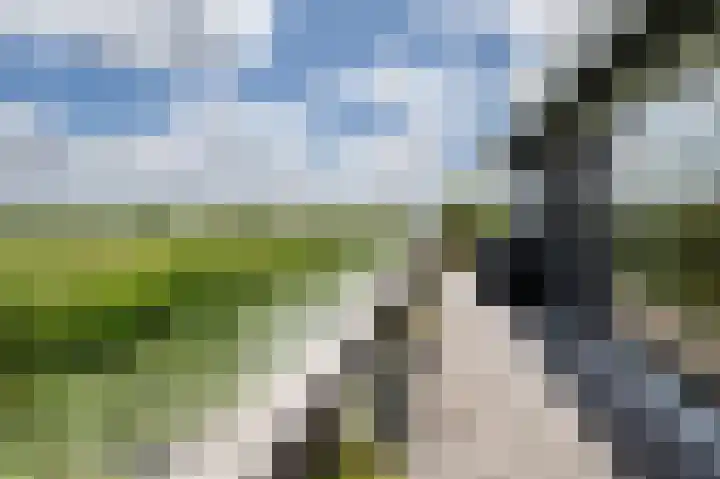 Oudeweg Oost 1 Heenvliet thumbnail 57