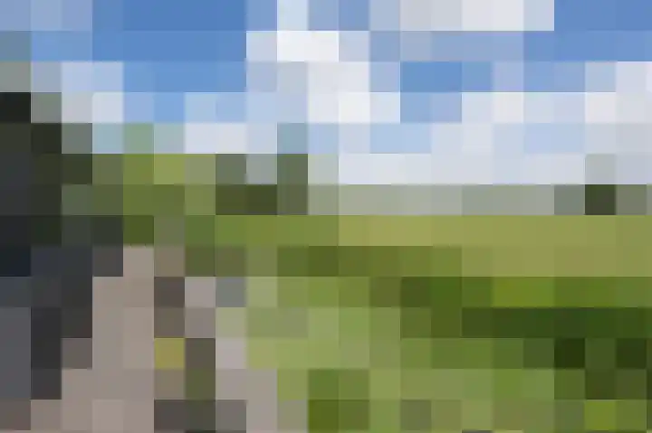 Oudeweg Oost 1 Heenvliet thumbnail 58