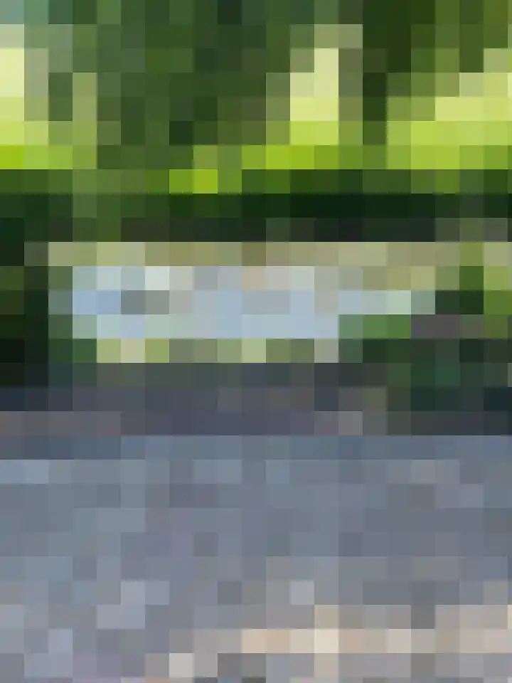 Oudeweg Oost 1 Heenvliet thumbnail 59