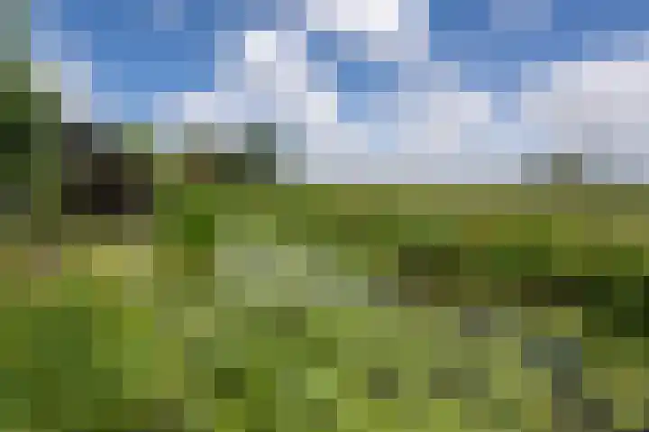Oudeweg Oost 1 Heenvliet thumbnail 60