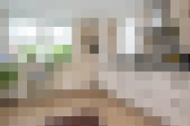 Oudeweg Oost 1 Heenvliet thumbnail 63