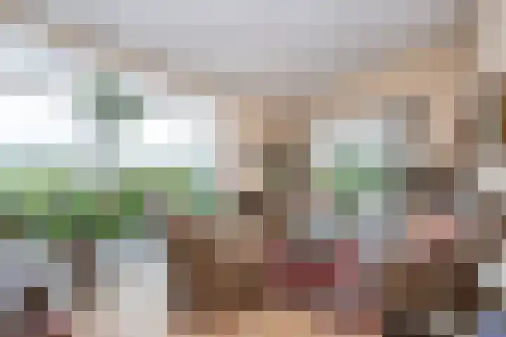 Oudeweg Oost 1 Heenvliet thumbnail 65