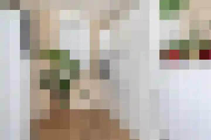 Oudeweg Oost 1 Heenvliet thumbnail 75