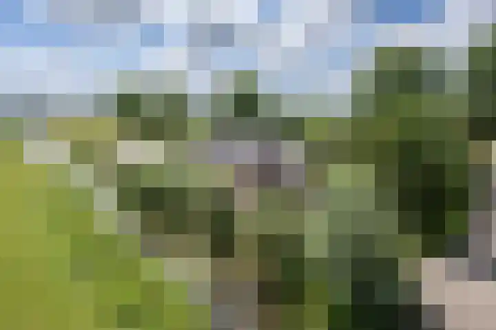 Oudeweg Oost 1 Heenvliet thumbnail 77