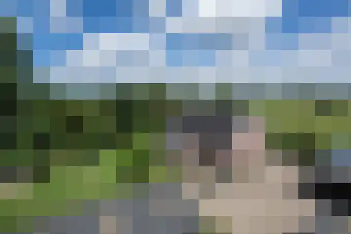 Oudeweg Oost 1 Heenvliet thumbnail 78