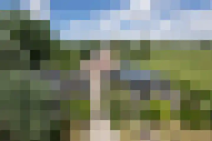 Oudeweg Oost 1 Heenvliet thumbnail 79