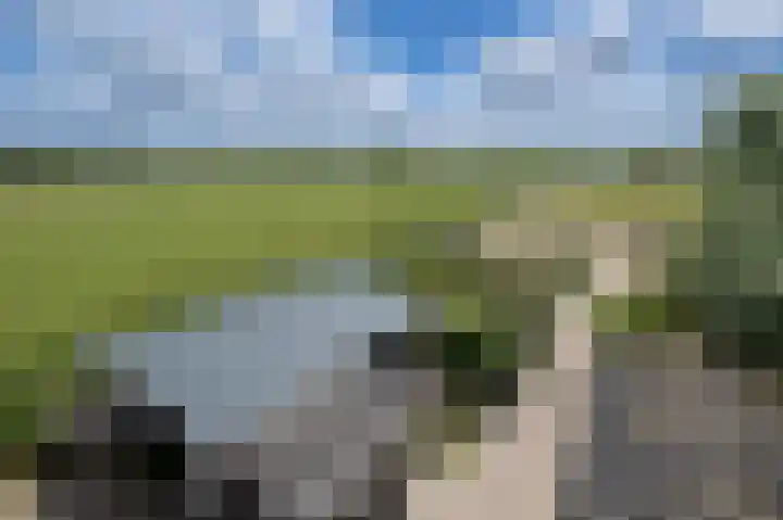 Oudeweg Oost 1 Heenvliet thumbnail 80