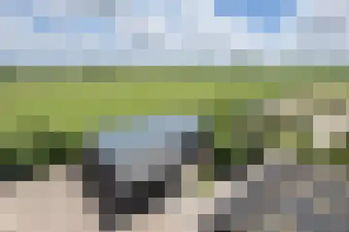 Oudeweg Oost 1 Heenvliet thumbnail 81
