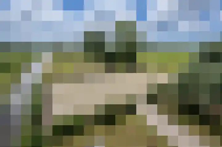 Oudeweg Oost 1 Heenvliet thumbnail 82
