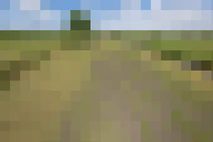 Oudeweg Oost 1 Heenvliet thumbnail 83