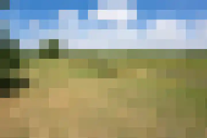 Oudeweg Oost 1 Heenvliet thumbnail 84
