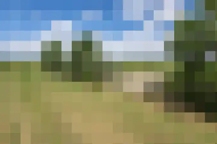 Oudeweg Oost 1 Heenvliet thumbnail 85