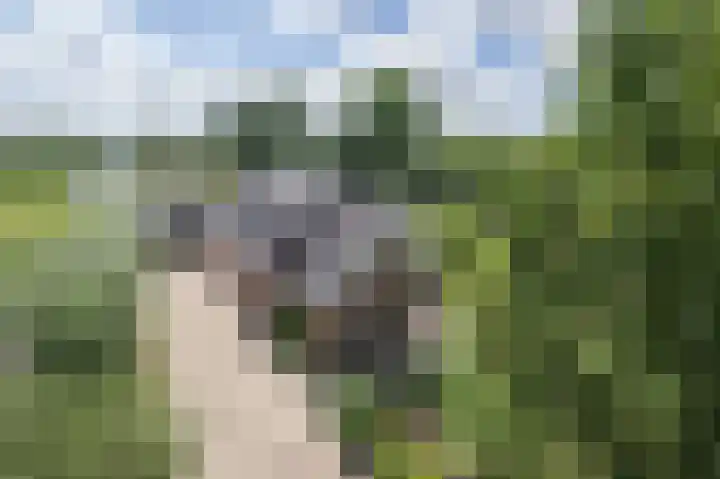 Oudeweg Oost 1 Heenvliet thumbnail 86